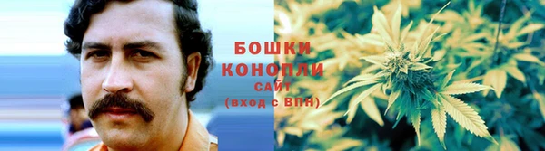 стафф Осинники