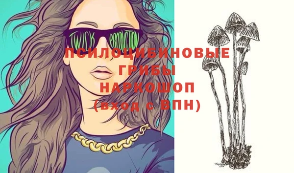 стафф Осинники