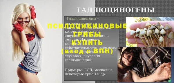 стафф Осинники