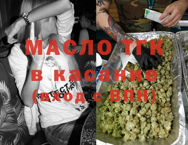 крисы Дубна