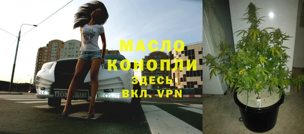 стафф Осинники