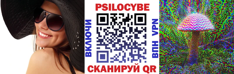 цены наркотик  Чехов  Псилоцибиновые грибы мицелий 